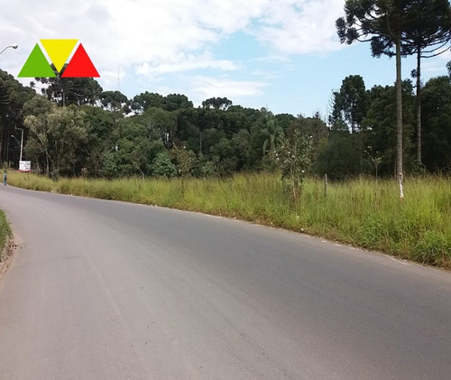 Imagem 6 de 6 de Área Residencial À Venda, Jardim Esmeralda, Campo Largo. - Ar00016 - 34982871