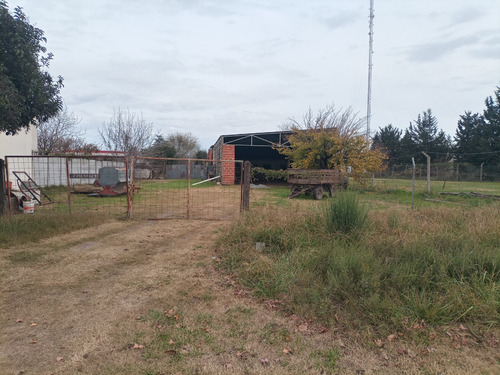 Lote En Saladillo. Zona Comercial Y Sobre Avenida