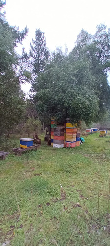 Se Vende Hermosa Parcela, De 5000 Mts 2, Parcela 51, Sector 