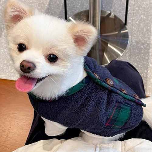 * Ropa De Invierno Para Perros Pequeños Azul Con Bufanda Xl