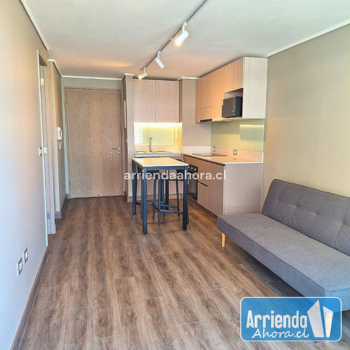 Mayo Y Junio Gratis Dpto 1 Dormitorio Metro Irarrázaval