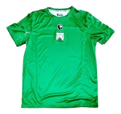 Remera Entrenamiento Ferro Lyon 2024