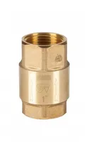 Comprar Valvula De Retencion 3 Pulgadas Bronce - Mangusi