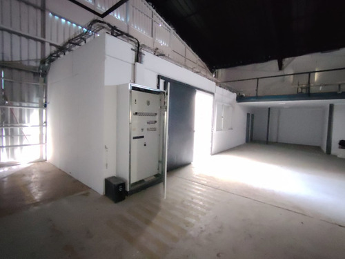 Excelente Bodega Con Oficinas