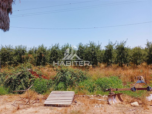Imagen 7 de 30 de Agrícola En Venta En Curicó