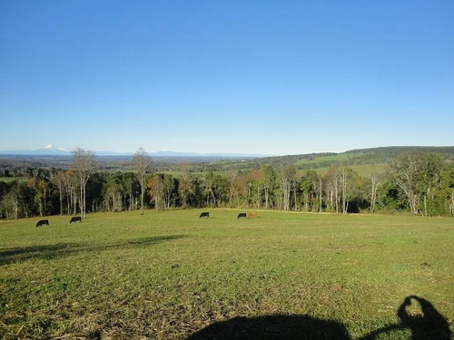 Agrícola En Venta En Frutillar