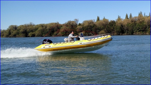 Viking 520 Con Mercury 60 Hp 4 Tiempos Ecologico 0 Horas
