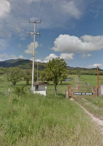 Imagen 1 de 14 de Rancho En El Tuito Jalisco, 21 Ha.