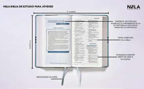 Nbla Biblia De Estudio Para Jóvenes (original)