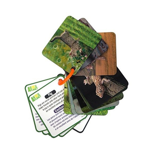 Animal Planet Flash 3d Tarjetas - Animales Domésticos Y Anim