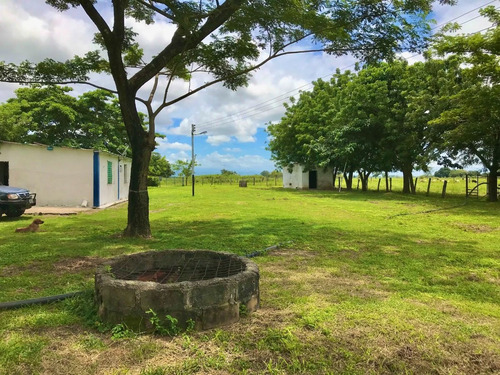 Imagen 4 de 19 de Finca En San Carlos Cojedes, Venta De Finca En San Carlos