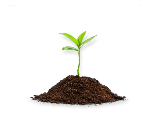 Tierra Preparada Para Macetas Y Jardineras 20 Kg (Usado)