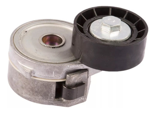 Tensor De Correa Poly-v Skf Citroen Berlingo