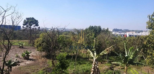 Área À Venda, 70000 M² Por R$ 21.000.000,00 - Jardim Do Triunfo - Guarulhos/sp - Ar0193