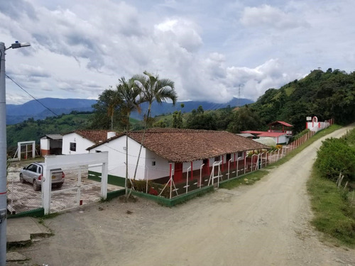 Finca Cafetera En Venta Ebejico Vereda La Clara