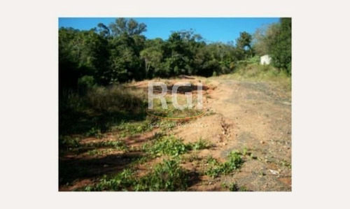 Terreno Em Teresópolis - Vi1060