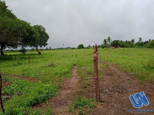 Imagem 8 de 9 de Fazenda Com 92 Tarefas Em São Gonçalo Dos Campos - Bahia - Afd028 - 70496087