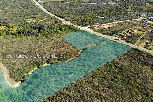 Imagen 12 de 24 de 5 Hectáreas 6 Lotes De 1000m2 Sobre Ruta Nº 1 - Cortadera