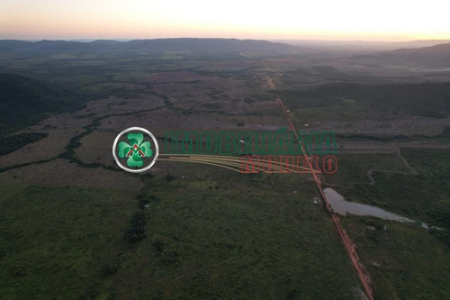 Imagem 1 de 25 de Fazenda Para Arrendamento Em Santana Do Araguaia - Pa (cód. 219)