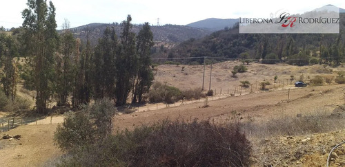Parcela En Venta En Quillota