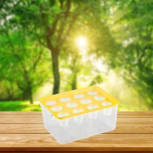 Caja De Hidropónico, Acuario De Para Interiores, Amarillo