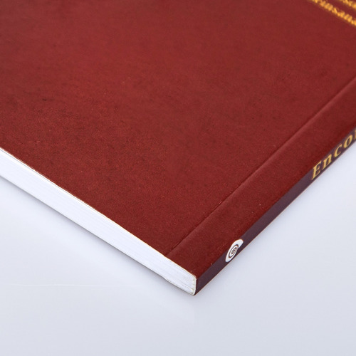 Livro Encontro Com A Daseinsanalyse: A Obra De Ser E Tempo