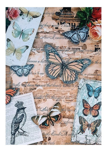 Imagen 4 de 6 de Decoupage Laminas Set Pajaro Y Mariposas Vintage Laura Craft