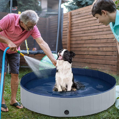 Piscina Para Mascotas Piscina Para Niños Para Perros Piscina