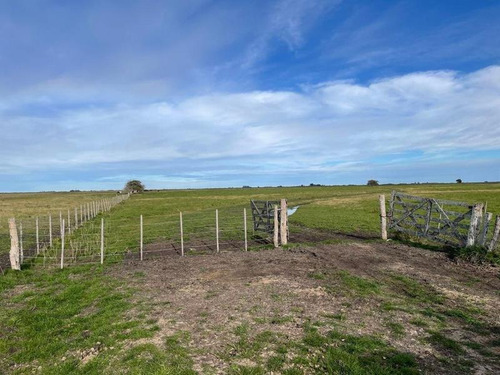 Imagen 2 de 19 de Campo En Venta !!! Gral Lavalle