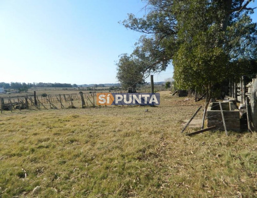 Imagen 3 de 4 de Linda Casa En Los Ceibos