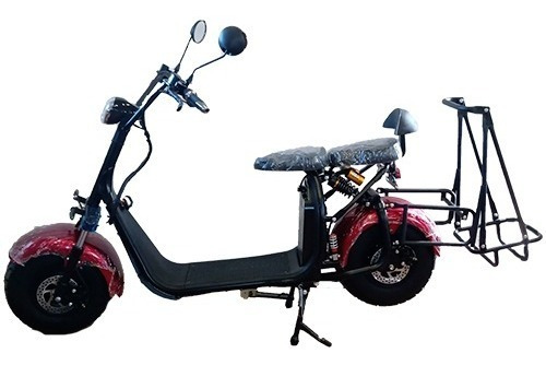 Moto Scooter Eléctric Carro Golf Pie Doble Bluetooth Alarma