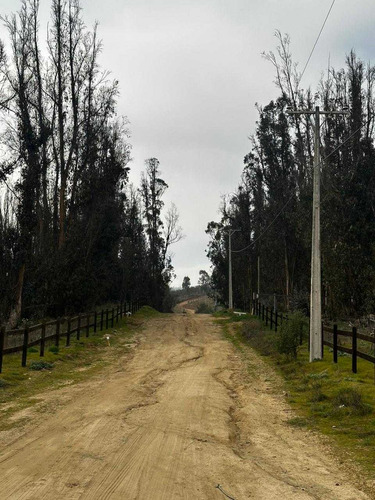 Vive En Un Ambiente Tranquilo Y Relajado (90447)
