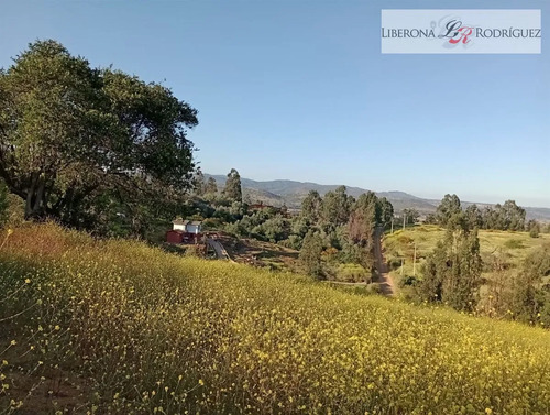 Parcela En Venta En Quillota