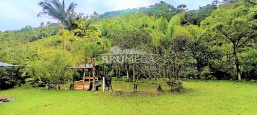 Imagem 6 de 10 de Sitio Com Ribeirão E Lagoa - 4094