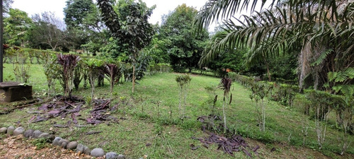 Terreno De Venta En Puerto Quito