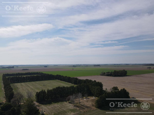Imagen 3 de 29 de Chacra De 29 Has En Venta En Baradero - Ideal Fin De Semana Y Producción Agrícola