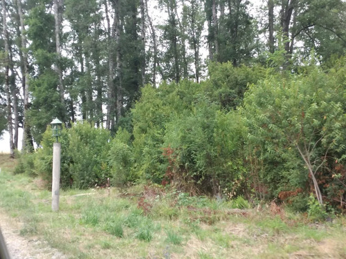 Parcela En Condominio 5000 Mt2