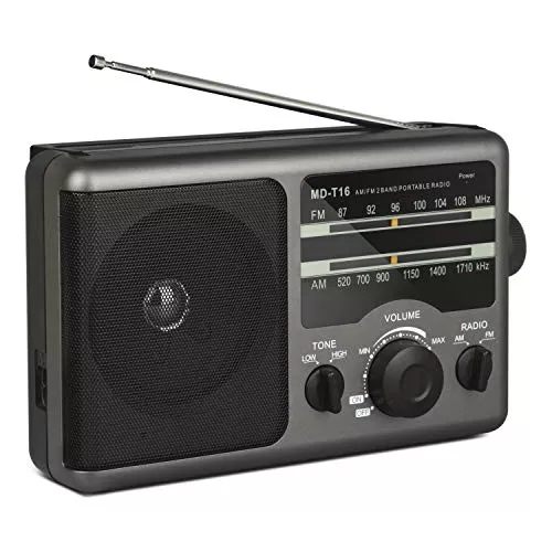  FUHONGYUAN AM FM Portable Pocket Radio, Compact