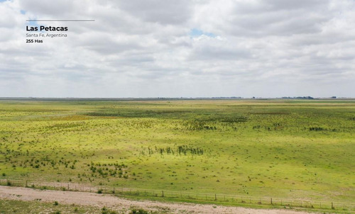 Campo De 255 Hectáreas En Las Petacas, Santa Fe