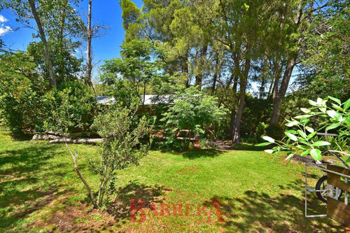 Imagen 12 de 18 de A Mts Av 2 Venados Y Lola Mora 2501 M2 Arbolado Excelente