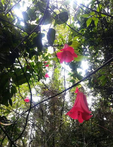 Agrícola En Venta En Gorbea