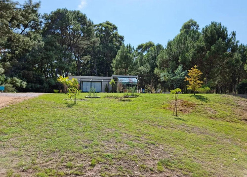 Casa - Punta Ballena