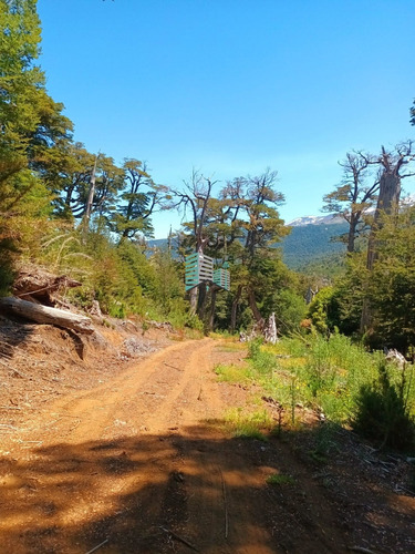 Hermosa Parcela En Los Refugios De Coñaripe