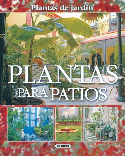 Plantas Para Patios, De Alonso De La Paz, Francisco Javier. Editorial Susaeta, Tapa Blanda En Español