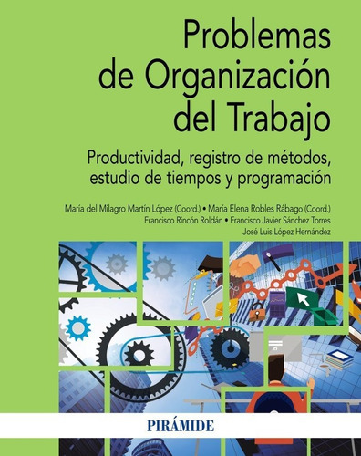 Problemas De Organizacion Del Trabajo, De Martin, Milagros. Editorial Ediciones Piramide, Tapa Blanda En Español