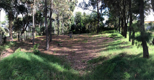 Espectacular Terreno En Primera Línea De La Rambla En El Pinar