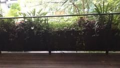 Imagen 7 de 8 de Polanco