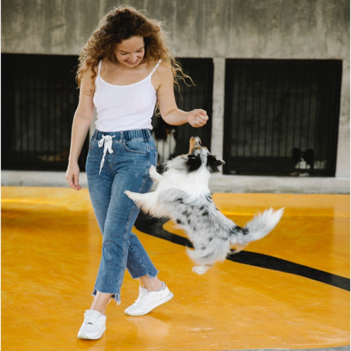 Imagen 4 de 5 de Alimento Royal Canin Club Performance Adult para perro adulto todos los tamaños sabor mix en bolsa de 20 kg
