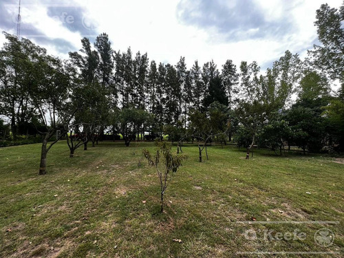 Imagen 26 de 30 de Chacra En Venta De 17 Has En San Andres De Giles. Excelente Casco