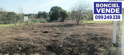 Amplio Terreno En Excelente Ubicación